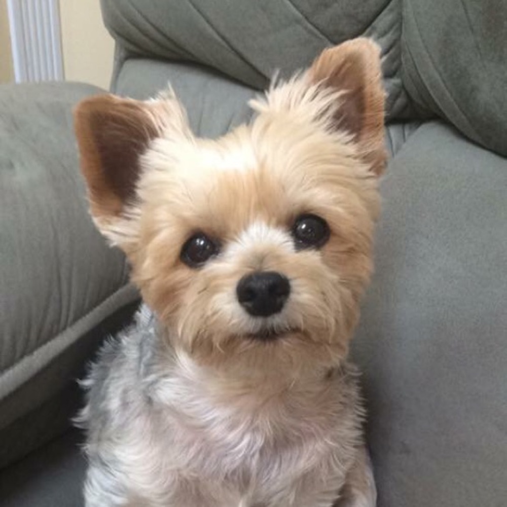 Meet your Posher, Sue